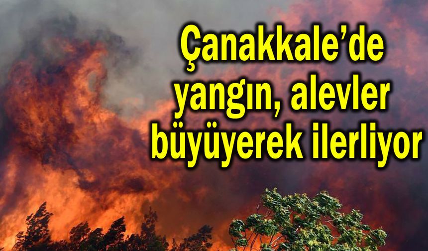 Çanakkale’de yangın, alevler büyüyerek ilerliyor