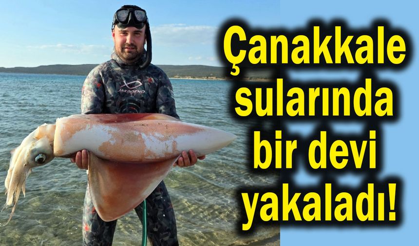 Çanakkale sularında bir devi yakaladı!