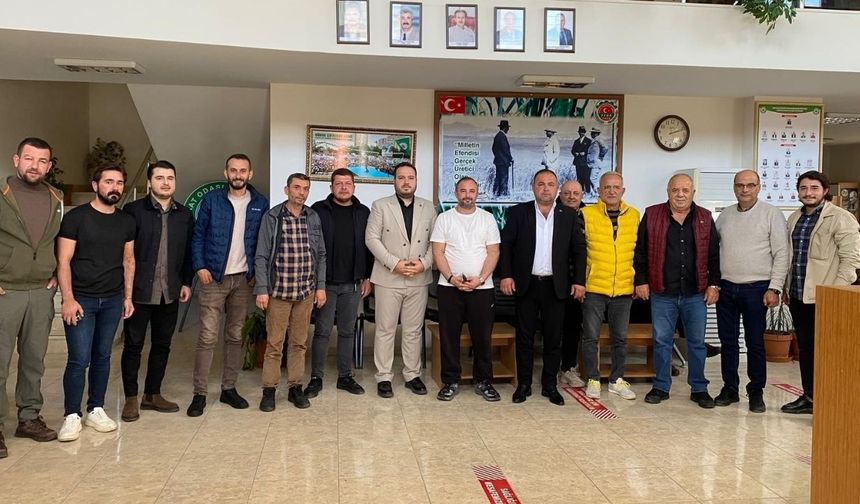 Zeytinin kilogram maliyeti açıklandı