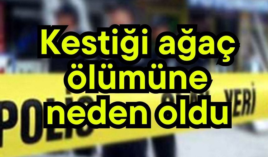 Kestiği ağaç ölümüne neden oldu