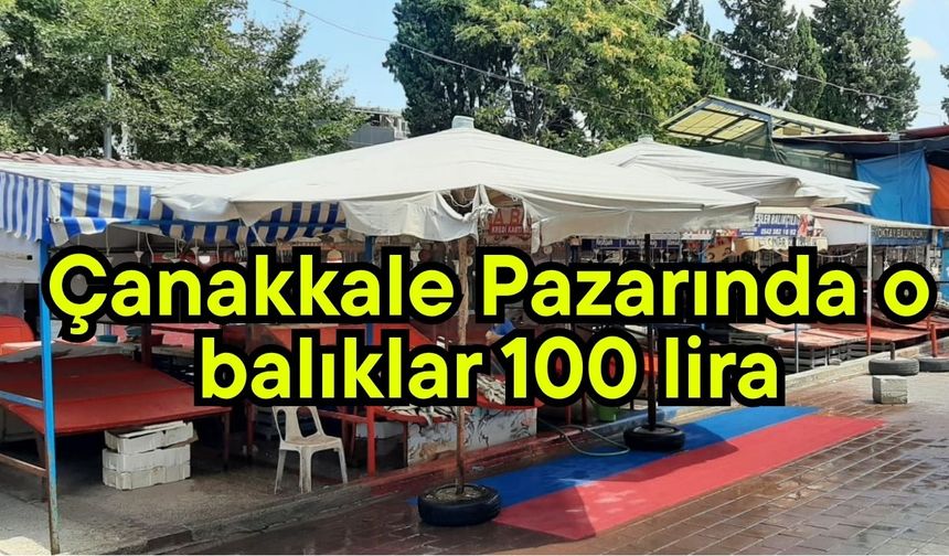 Çanakkale Pazarında o balıklar 100 lira