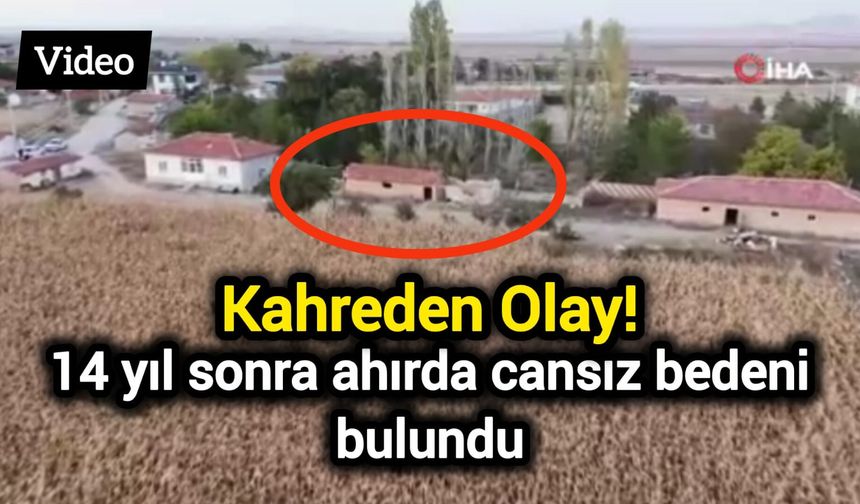 Kahreden Olay! 14 yıl sonra ahırda cansız bedeni bulundu