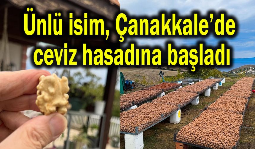 Ünlü isim, Çanakkale’de ceviz hasadına başladı