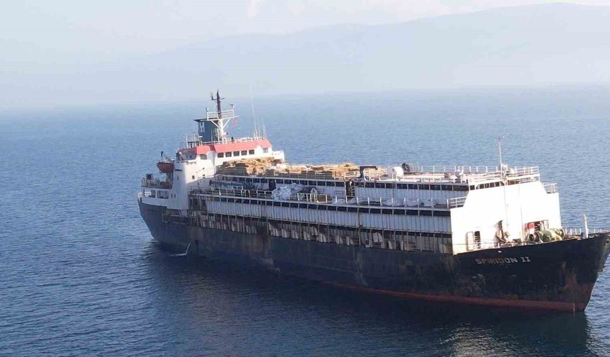 Çanakkale Boğazı'nı geçen gemi hakkında uzmanlardan "acil tehdit" uyarısı