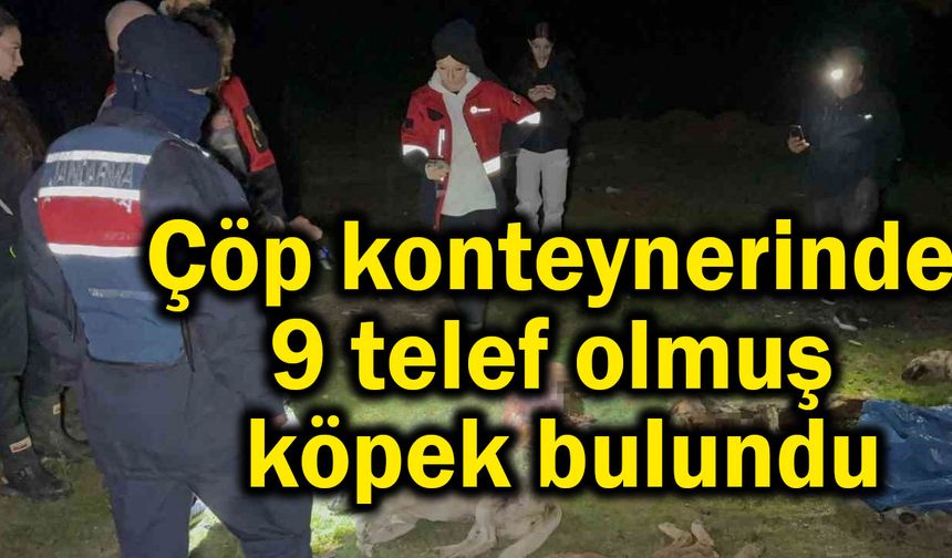 Çöp konteynerinde 9 telef olmuş köpek bulundu