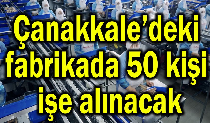 Çanakkale’deki fabrikada 50 kişi işe alınacak