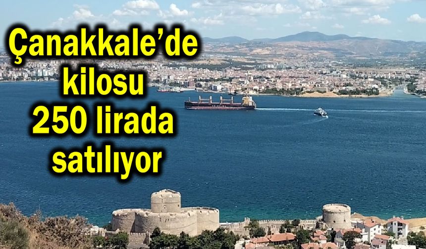 Çanakkale’de kilosu 250 lirada satılıyor