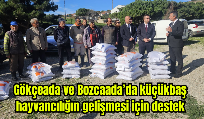 Gökçeada ve Bozcaada’da küçükbaş hayvancılığın gelişmesi için destek