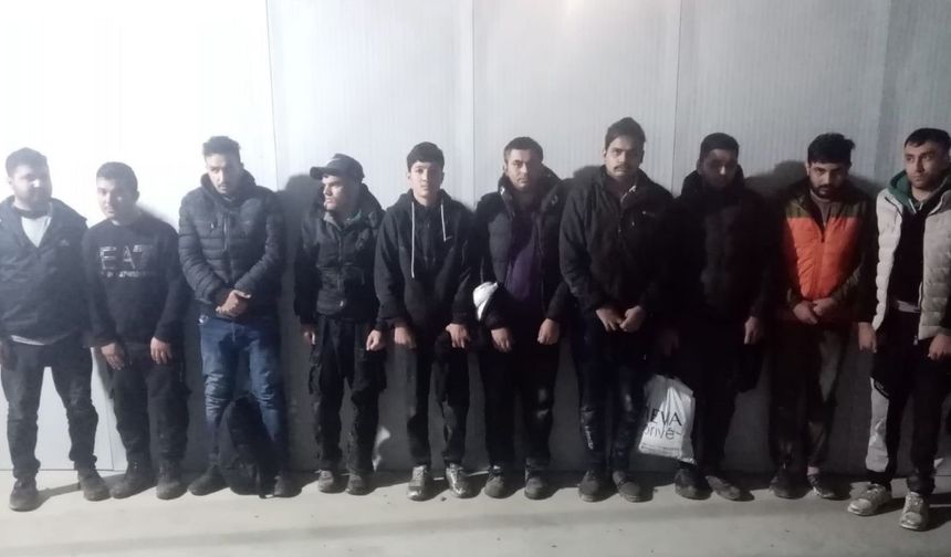 20 kaçak göçmen sınırda yakalandı