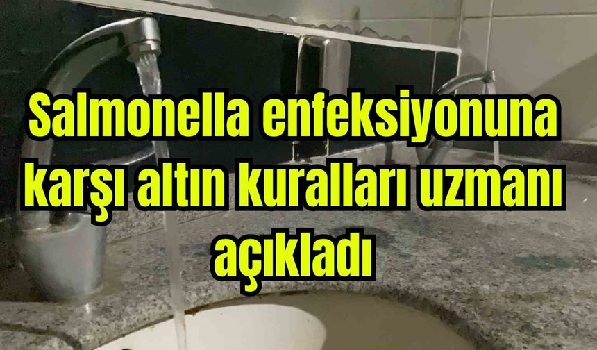 Salmonella enfeksiyonuna karşı altın kuralları uzmanı açıkladı