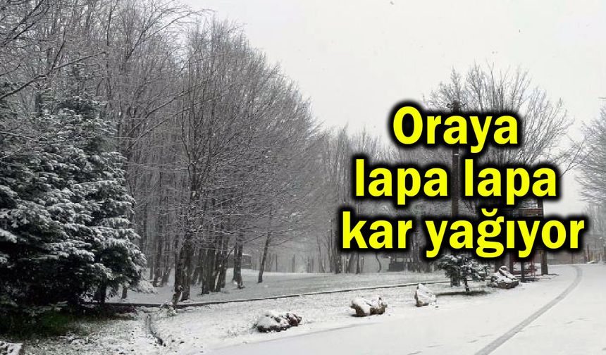 Oraya lapa lapa kar yağıyor (Tıkla izle)