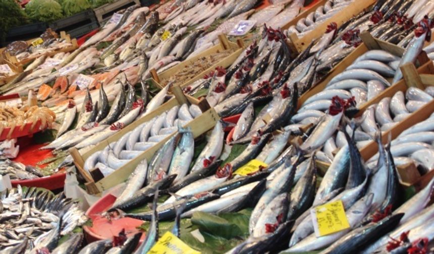 Aralık ayında en fazla pahalanan ürün taze balık oldu