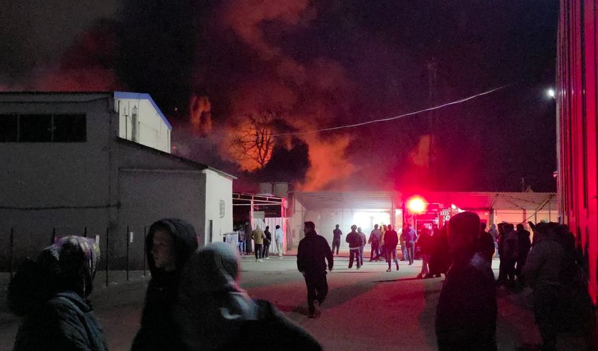 Strafor fabrikasında yangın