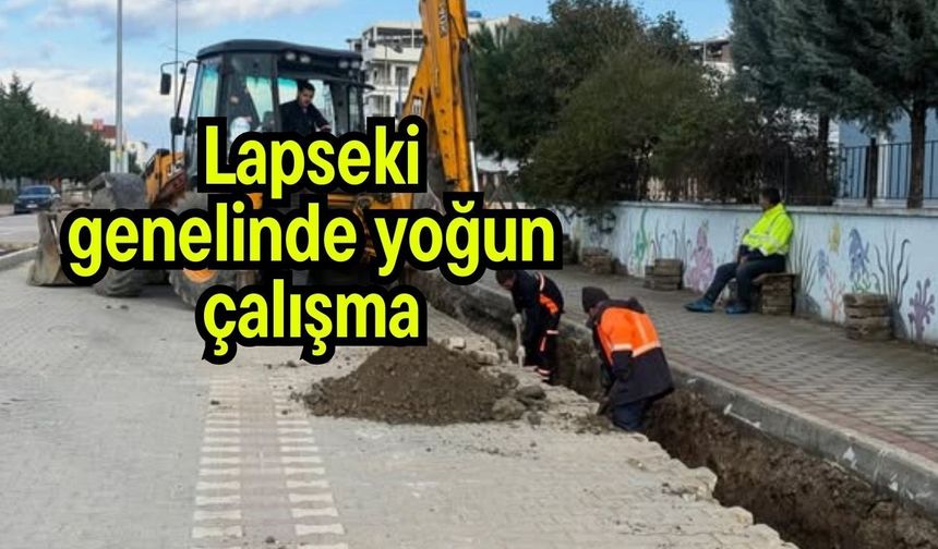 Lapseki genelinde yoğun çalışma