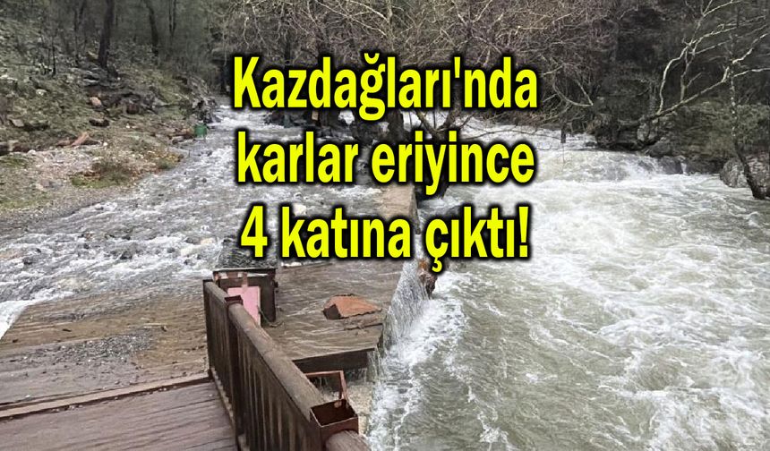 Kazdağları'nda karlar eriyince 4 katına çıktı! (Video)