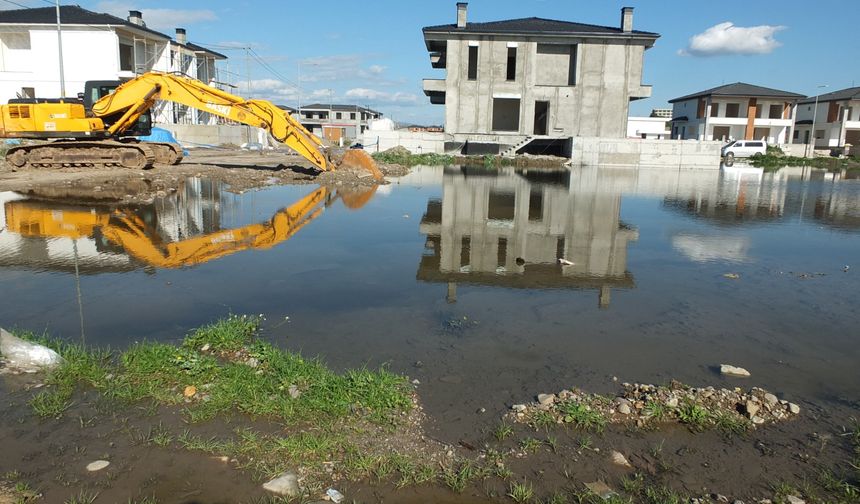 Burhaniye' de çevre felaketi yaşanıyor