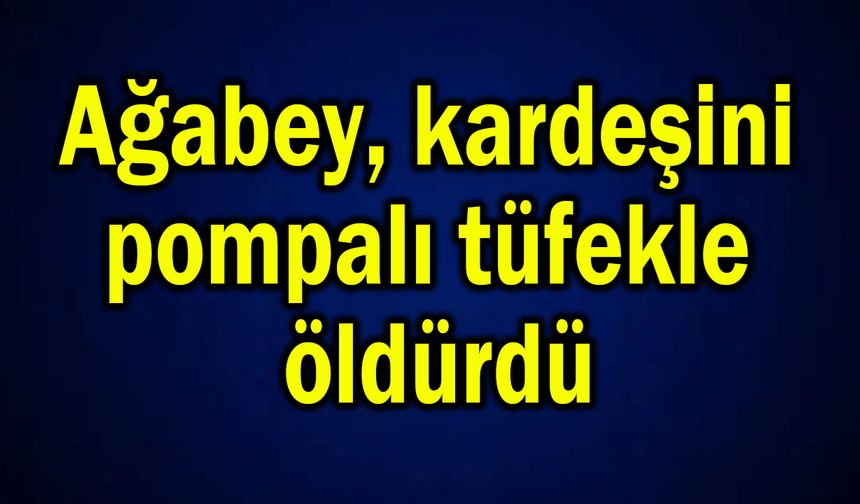 Ağabey, kardeşini pompalı tüfekle öldürdü