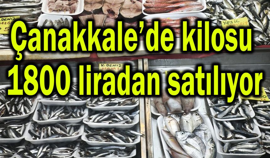Çanakkale’de kilosu 1800 liradan satılıyor
