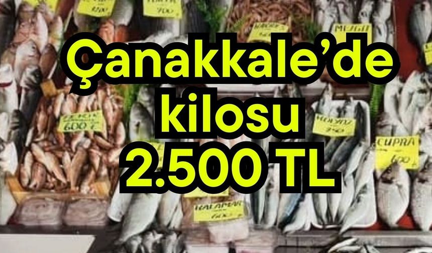 Çanakkale’de kilosu 2.500 TL