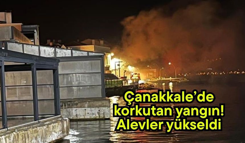 Çanakkale’de korkutan yangın! Alevler yükseldi