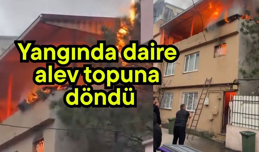 Yangında daire alev topuna döndü