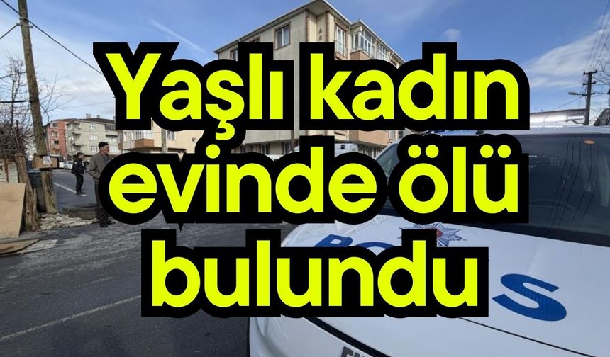 Yaşlı kadın evinde ölü bulundu