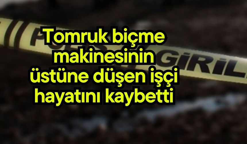 Tomruk biçme makinesinin üstüne düşen işçi hayatını kaybetti