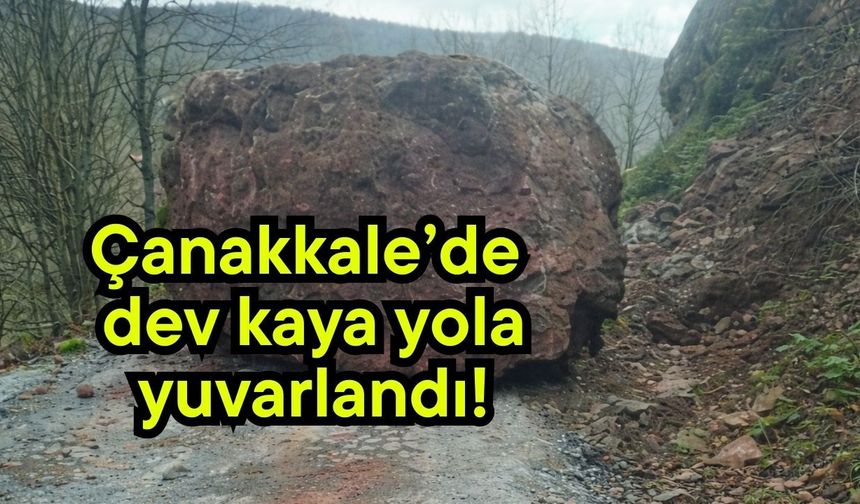 Çanakkale’de dev kaya yola yuvarlandı!