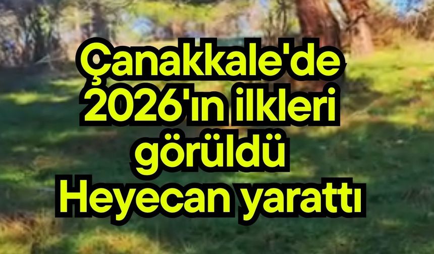 Çanakkale'de 2026'ın ilkleri görüldü