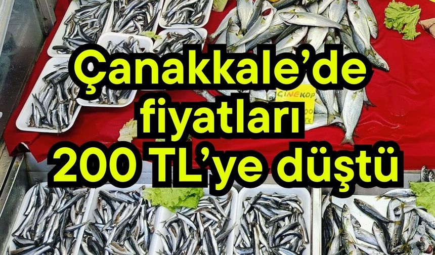 Çanakkale’de fiyatları 200 TL’ye düştü