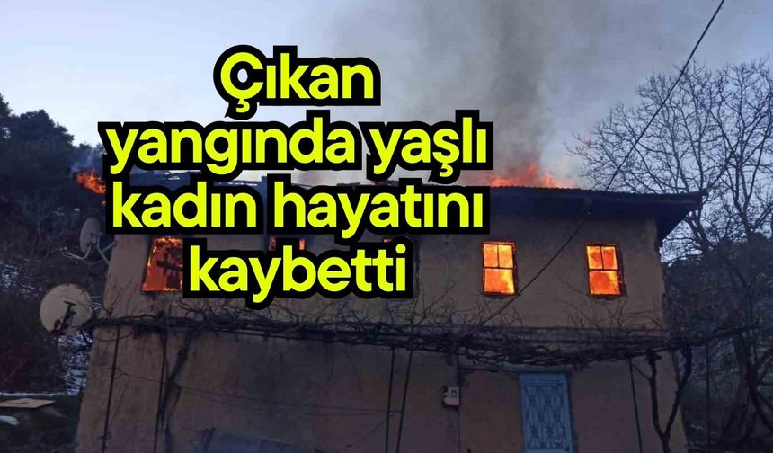 Çıkan yangında yaşlı kadın hayatını kaybetti