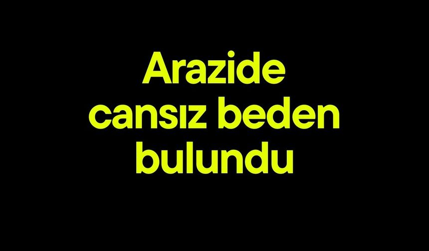 Arazide cansız beden bulundu