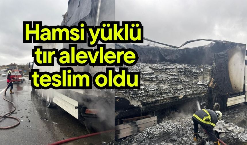 Hamsi yüklü tır alevlere teslim oldu