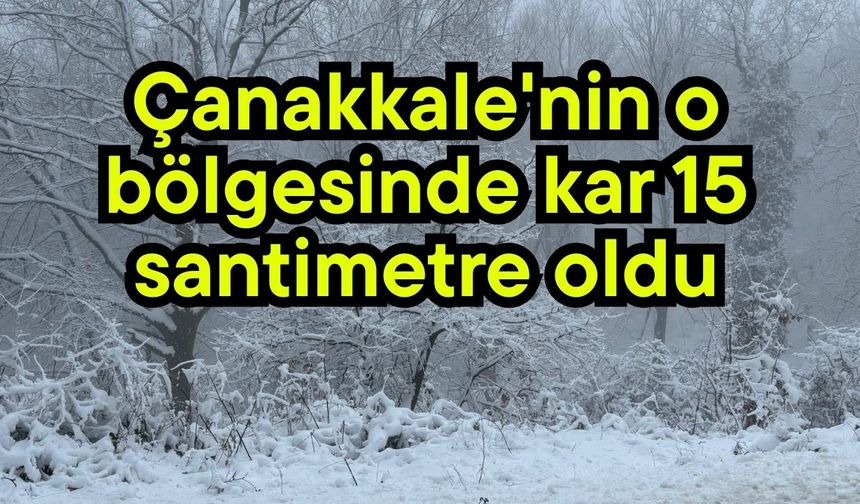 Çanakkale'nin o bölgesinde kar 15 santimetre oldu (GALERİ)