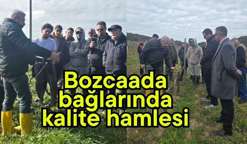 Bozcaada bağlarında kalite hamlesi