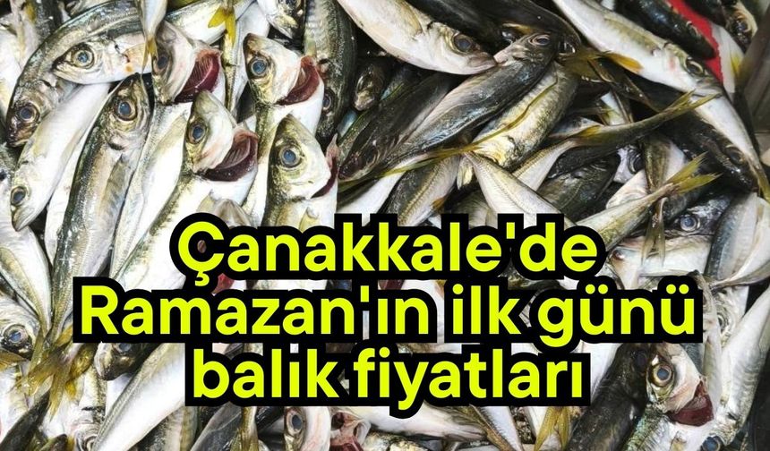 Çanakkale'de Ramazan'ın ilk günü balık fiyatları