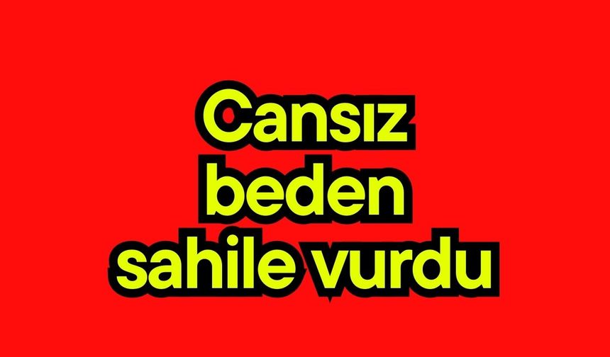 Cansız beden sahile vurdu
