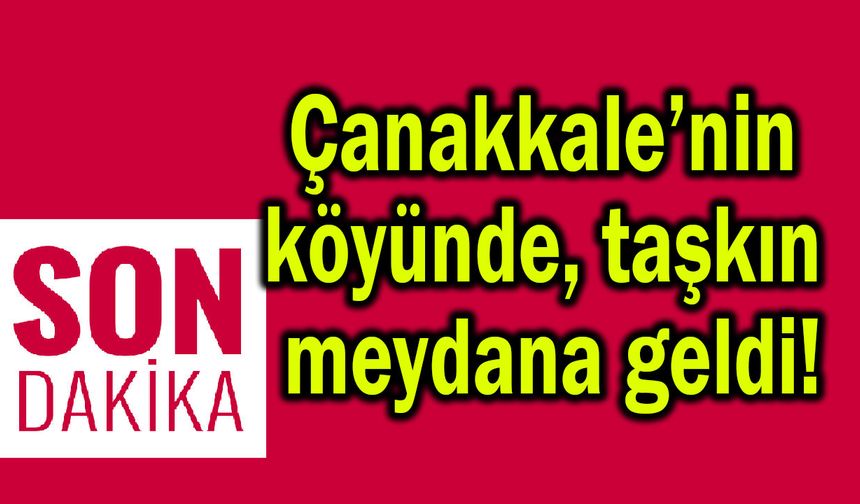 Çanakkale’nin köyünde taşkın meydana geldi!
