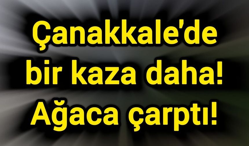 Çanakkale'de bir kaza daha! Ağaca çarptı!