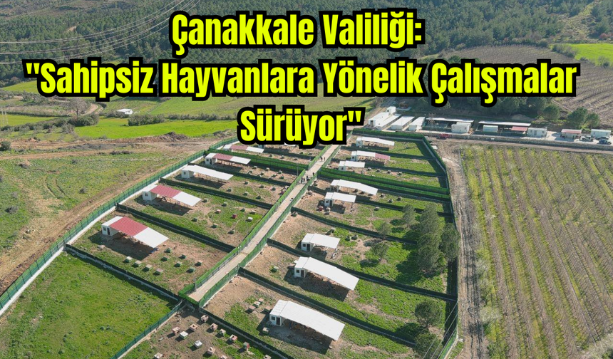 Çanakkale Valiliği: "Sahipsiz Hayvanlara Yönelik Çalışmalar Sürüyor"