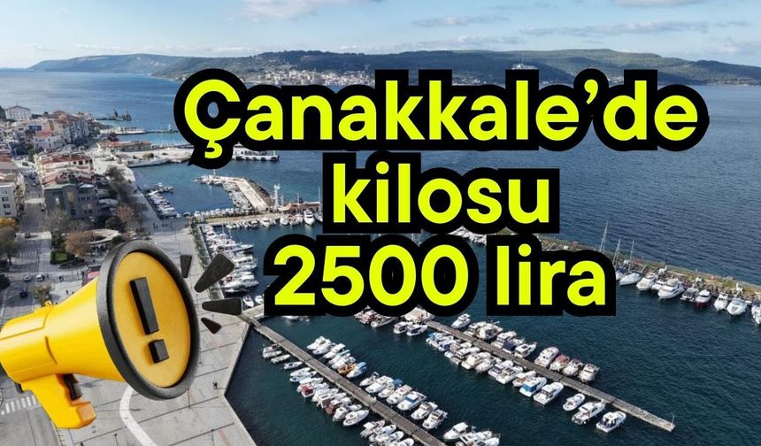 Çanakkale’de kilosu 2500 lira!