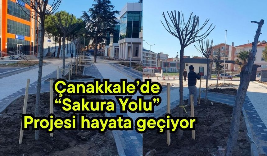 Çanakkale’de “Sakura Yolu” Projesi hayata geçiyor