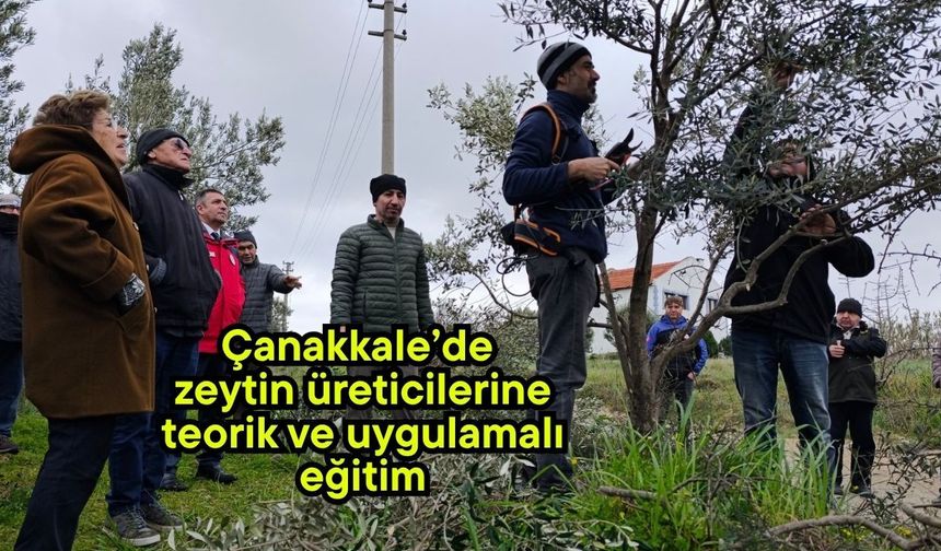 Çanakkale’de zeytin üreticilerine teorik ve uygulamalı eğitim