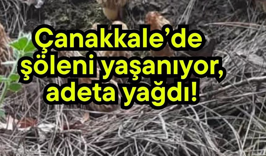 Çanakkale’de şöleni yaşanıyor, adeta yağdı!