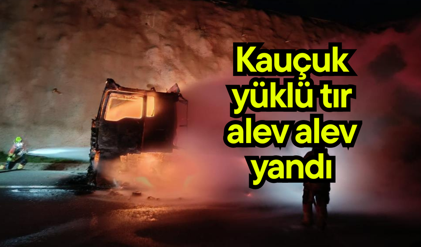 Kauçuk yüklü tır alev alev yandı (Video)