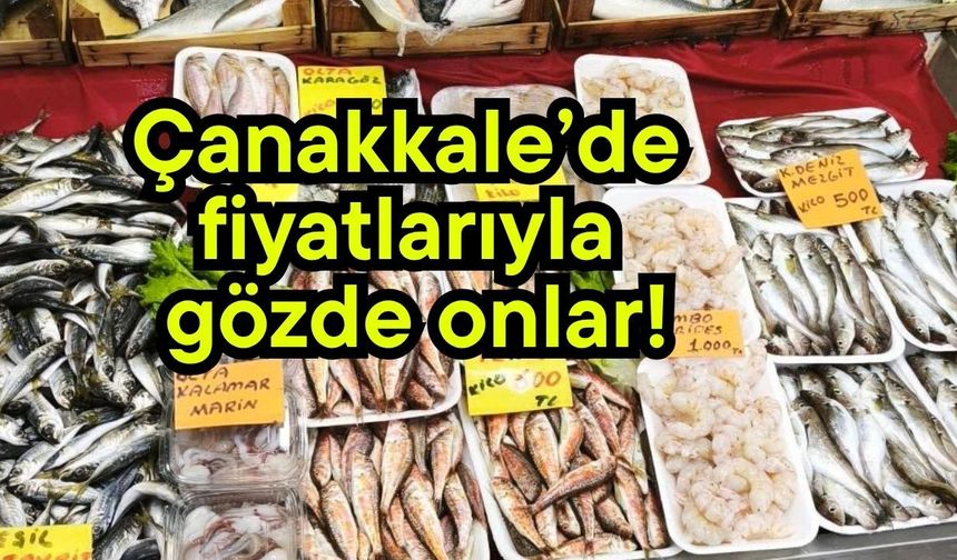 Çanakkale’de fiyatlarıyla gözde onlar!