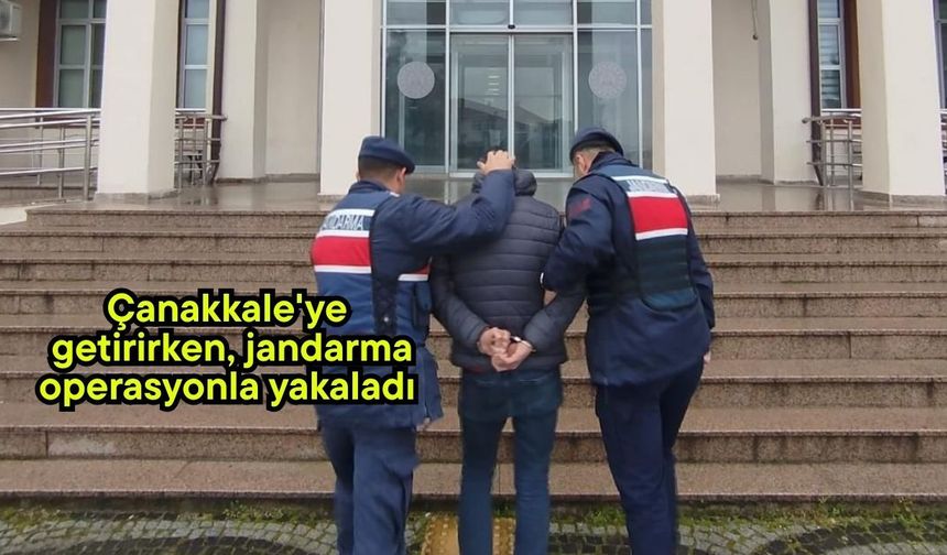 Çanakkale'ye getirirken, jandarma operasyonla yakaladı