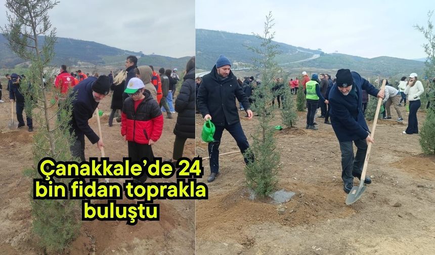 Çanakkale’de 24 bin fidan toprakla buluştu