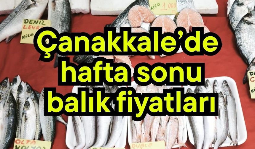 Çanakkale’de hafta sonu balık fiyatları