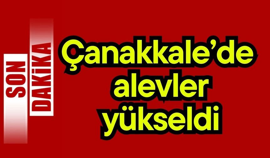 Çanakkale’de alevler yükseldi